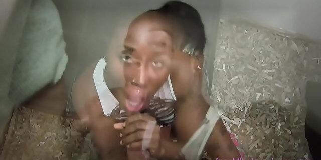 black,blowjob,blowjobs,ebony,exotic,interracial,pov